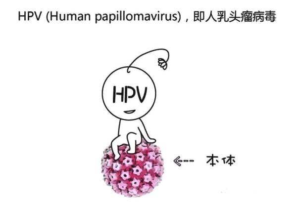 HPV阳性