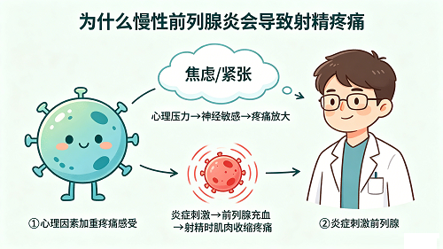 慢性前列腺炎引起射精疼痛，性生活恐惧怎么办
