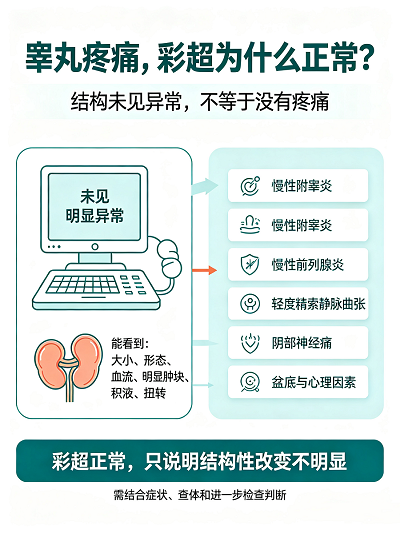 睾丸疼痛彩超正常原因及应对 睾丸疼痛彩超正常原因及应对