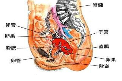 子宫腺肌症的治疗方法