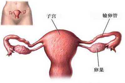 输卵管积水