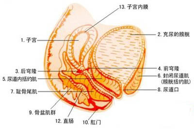 盆腔炎