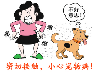 宠物病