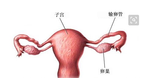输卵管堵塞怎么治疗
