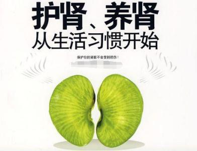 养肾