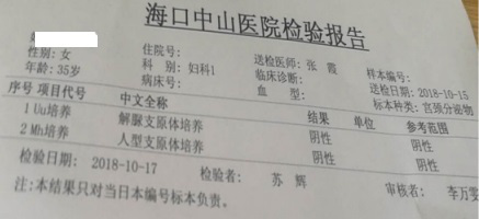 支原体转阴报告单
