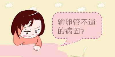 输卵管堵塞