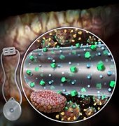 生物人工胰腺或为Ⅰ型糖尿病患者带来福音