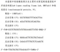 核酸“单阳”，是个什么概念?