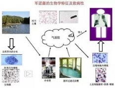 阿根廷不明原因肺炎确认是军团菌感染，军团菌是啥?如何防止感染?